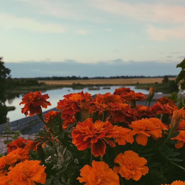 Ilmatsalu Motell Exteriör bild